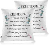 Swono Set of 2 Friendship Pillow Covers 18 X 18 Inch, A Friend is One of The Nicest Things Square Decorative Throw Pillow Covers for Sofa Couch Bed, Outdoor Indoor Pillowcase Cushion Cover