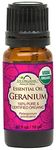 US Organic 100% Pure Geranium Essential Oil - USDA Certified Organic, Steam Distilled W/Euro Dropper (More Size Variations Available) (10 ml)