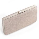 Women Vintage Bag Envelope Clutch Silver Evening Handbag For Cocktail/Wedding/Party (Champagne)