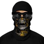 ShopINess Unisex Adult 3D Balaclava for Sport Party Festival Halloween and Carnival Skull (Gold)