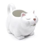 RAISLY Ceramic Gravy Boat, 23oz Cute Cat Sauce Jug with Smooth Handle - Perfect for Salad Dressing, Broth, Cream, Milk - Unique Artwork for Your Kitchen