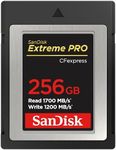 SanDisk 25