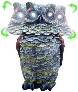 Owls to Ke