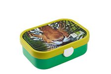 Tiger Lunch Boxes