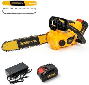 RazEdg 40V Cordless Brushless Chainsaw with 12-Inch Bar & Chain, 40V Battery, Tool-Free Tensioning, Automatic Oiler — Electric Chainsaw for Pruning, Limbing & Light Firewood