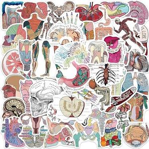 50 Pcs Doctor Nurse Stethoscope Waterproof Vinyl Stickers Medical Science Equipment Stickers Human Body Organ Anatomy Map Decals for Water Bottles Laptop Luggage Cup Computer Mobile Phone Skateboard