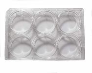 Advangene 6 Well Treated Sterile Flat Tissue Culture Plate (50/Case)