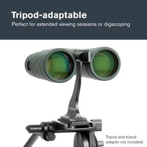 Celestron Nature DX 10x42 Binoculars – Multi-Coated Lens, BaK-4 Prism, Green