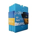 Generic 4-Piece Ice Pack Set for Lu