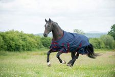 Gallop Trojan 600d Standard Neck 50g Turnout Rug (5'0" (EU 105cm))