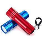 Riakrum 2 Pcs Mini Pocket Torch Small Handheld Torches Kids Led Flashlight 3 Inch Waterproof Pencil Torch with Lanyards for Camping Hiking Outdoor, Batteries with Insulation Card Included (Blue, Red)