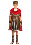 Child Hercules Costume Small (6-8)