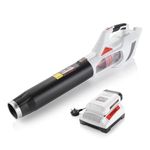 Vitinni 40V Cordless Leaf Blower - 2Ah Samsung Battery and Rapid Charger Included, 20 Minute Run time, Precise Trimming Grass Cutter, Lightweight Cordless Design, 800W Garden Leaf Blower