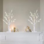 YEAHOME 2 Pack 2FT/24” Birch Tree Light with 18LT Warm White LED, Battery Powered Timer Christmas Decorations Indoor, Artificial Tabletop Money Tree for Wedding Table Mantel Home Easter Decor