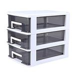 WINOMO Drawer Storage Organizer Desktop Storage Containers Shelf Storage Rack Storage Box for Home Office