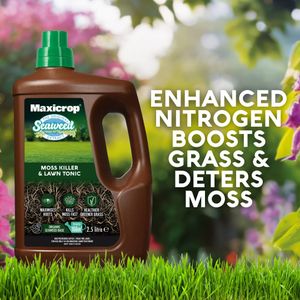 Maxicrop Moss Killer & Lawn Tonic, 2.5L – Green