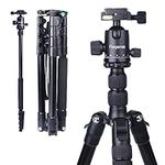 Tripod for Camera, Regetek 75" Camera Tripod Stand, DSLR Tripods & Monopods, Aluminum Travel Outdoor Tripod with 360 Degree Ball Head for Binoculars Laser Level Spotting Scope Telescope