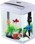 SANOSY 2 Gallon Aquarium Starter Ki