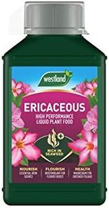 Westland Ericaceous High Performance Liquid Plant Food 1 Litre, Green