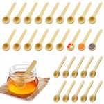 BILLIOTEAM 60 PCS Mini 3 Inch Wooden Spoons,Tiny Small Natural Wooden Bath Salt Scoop Tasting Spoon for Salt Seasoning Condiment Spice Sugar Coffee Honey