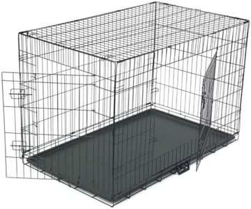 Cage Chien