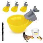 Water System For Chickens