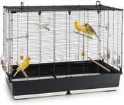 Ferplast Bird Cage Aviary PIANO 7 Large Cage for Birds, Canaries, Budgies, Finches, Loverbirds, Metal, Accessories Included Rotating Feeders Perches, 99.5 x 53 x h 74 cm.