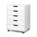 TUSY 5-Drawer Organizer, Tall Chest