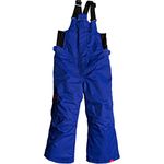 Roxy Lola Insulated Snowboard Pant Girls
