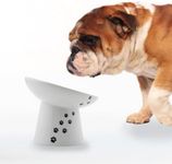 Necoichi Raised Dog Food Bowl, Elevated, for Dogs and Cats, Pets Feeding Feeder Non-Slip for Small Dogs Dishwasher and Microwave Safe, No.1 Seller in Japan! (Dog, Extra Wide Tilted)