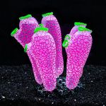 Bluecoco Dynamic Glow in The Dark Aquarium Decorations: Unleashing Visual Effects with Soft Silica Gel, Changing Lights, and Colorful Glowing Coral Ornaments for Enchanting Fish Tank Decor