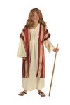 RG Costumes 90284-S Deluxe Moses Costume - Size Child Small 4-6