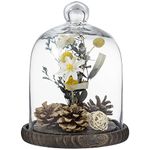 MyGift Clear Glass Jar, Cloche Dome Display Centerpiece with Brown Wood Base