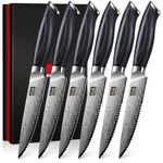 SHAN ZU Japanese Steak Knives Set of 6 - High Carbon Powder Steel 63 HRC, Razor Sharp 12° Blade Professional Kitchen Knives with Ergonomic Pakkawood Handle for Meat & BBQ