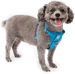 Kurgo Tru-Fit Smart Harness, Dog Harness, Pet Walking Harness, Quick Release Buckles, Front D-Ring for No Pull Training, Includes Dog Seat Belt Tether (Blue, X-Small)