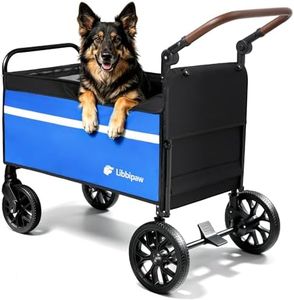 Libbipaw D