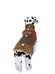 Dog Sherwani Ethnic wear Diwali wear for Dogs Dog Dress, Dog Sherwani or Dog Wedding Dress, Pet Outfit for Dogs, Dog Clothes, Elegant Dog Costume, Dog Dress for Male Dogs (Golden Black Sherwani) (32)