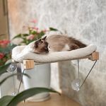 BOUKIDA Cat Window Perch, Cat Window Hammock with Soft Pet Bed, Indoor Kitten Seat Bed with Strong Suction Cups for Overlooking & Sunbathing (Beige)