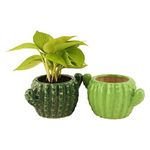 Leafy Tales Cactus Shape Ceramic Pot Set of 2, (Pot Only, Multicolour)