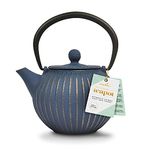 Small Japanese Blue & Gold Cast Iron Teapot / Tea Kettle (500ml/2.5 Cups)