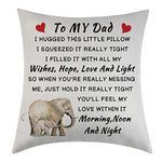 Tihnvk Dad Gifts From Daughter Son Dad Gifts Dad Cushion Cover Fathers Day Birthday Thanksgiving Gifts For Father Pillow Cover Pillowcases Cushion Cover To Father Dad Daddy