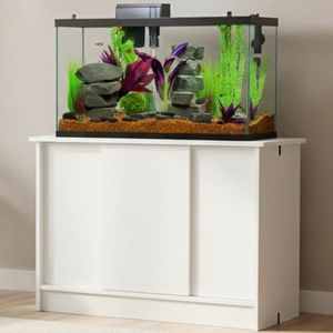 Tetra 40 G