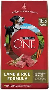 Purina ONE