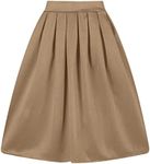 Taydey A-Line Pleated Vintage Skirt