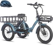 Fafrees F20 MATE Electric Trike for