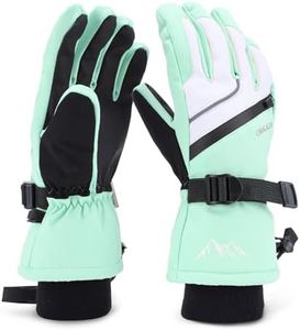 Ski Gloves