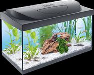 Tetra Starter Line LED 54L Aquarium