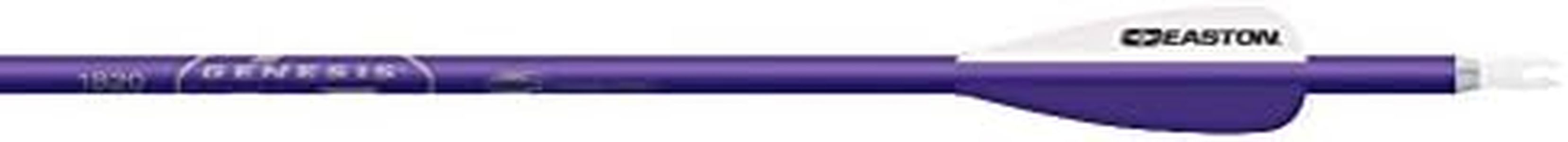 Easton Genesis V2 Arrows with 3" Vanes (6 Pack), 1820, Purple