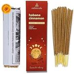 Havana Cinnamon Incense Stick Exoti