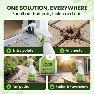 Pestmatic Smart Spray Ant Repellent, Non-Toxic Indoor & Outdoor, 500ml